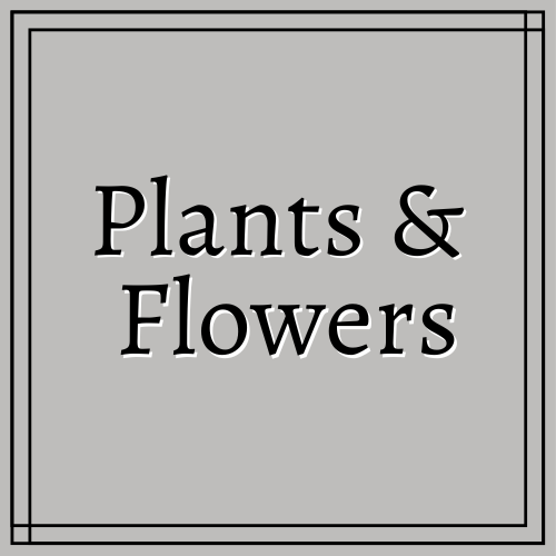 Plants & Flowers DTFs
